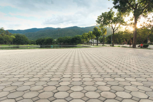 Best Residential Driveway Paver Services  in Denison, TX