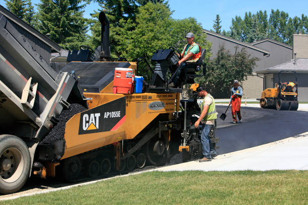 Best Driveway Paving Contractor  in Denison, TX